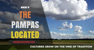 Exploring the Pampas: A Journey Through South America's Heartland