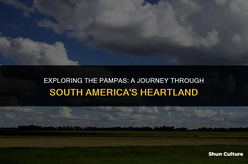 where is the pampas located