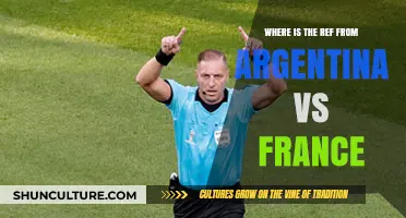 Argentina vs France: The Mystery of the Missing Referee