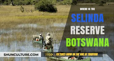 Discovering Selinda Reserve: Botswana's Hidden Wildlife Gem and Location
