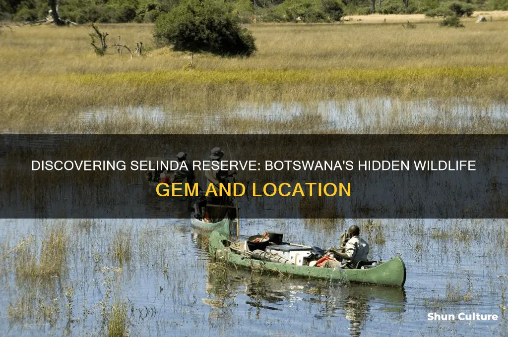 where is the selinda reserve botswana