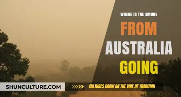 Australia's Smoke: Tracking Its Global Journey and Environmental Impact