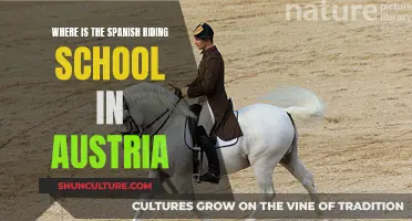The Spanish Riding School: Vienna's Equestrian Icon
