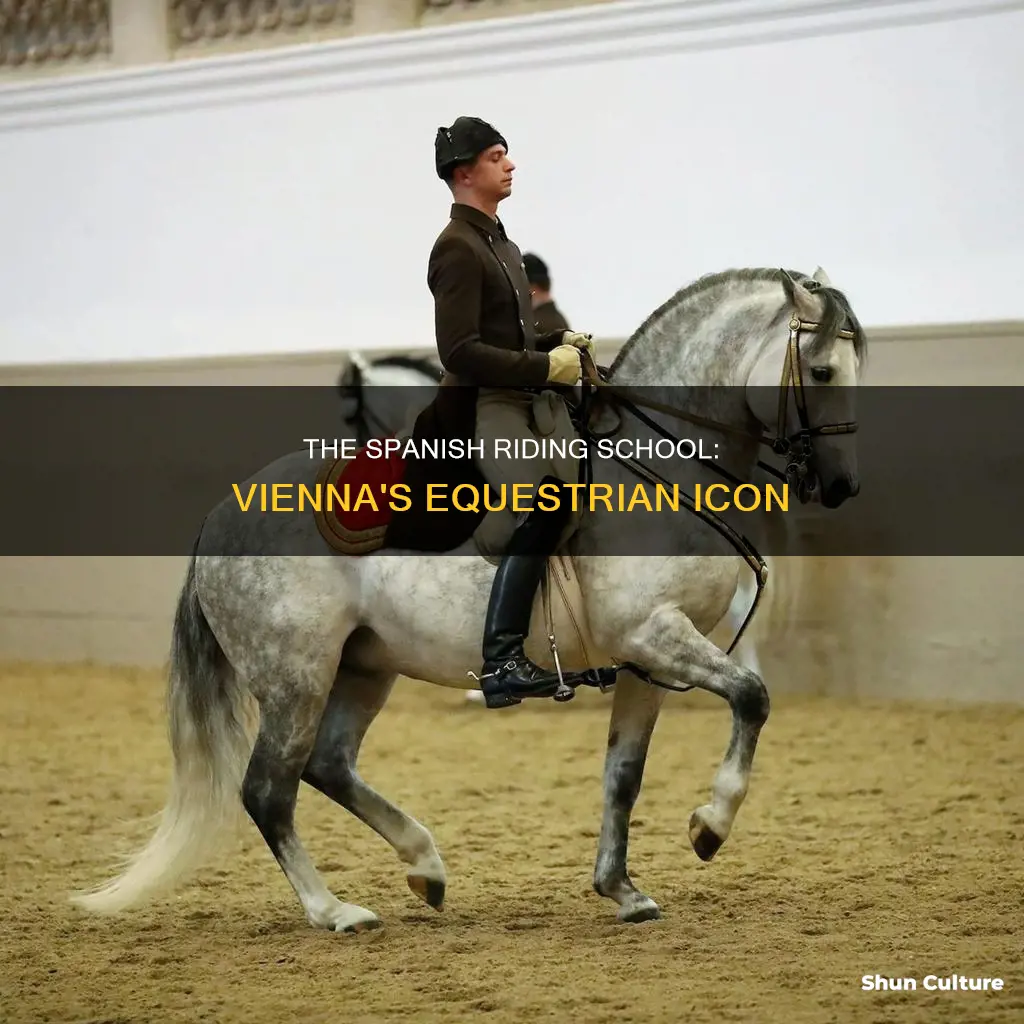 where is the spanish riding school in austria