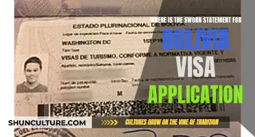 Bolivia Visa: Sworn Statement Location and Details