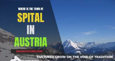 Exploring Spital, Austria: A Town's Unique Location