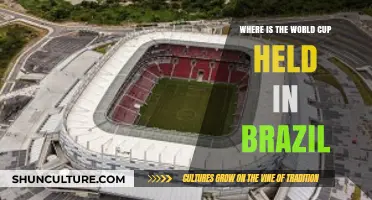 Exploring Brazil's Iconic World Cup Host Cities and Venues