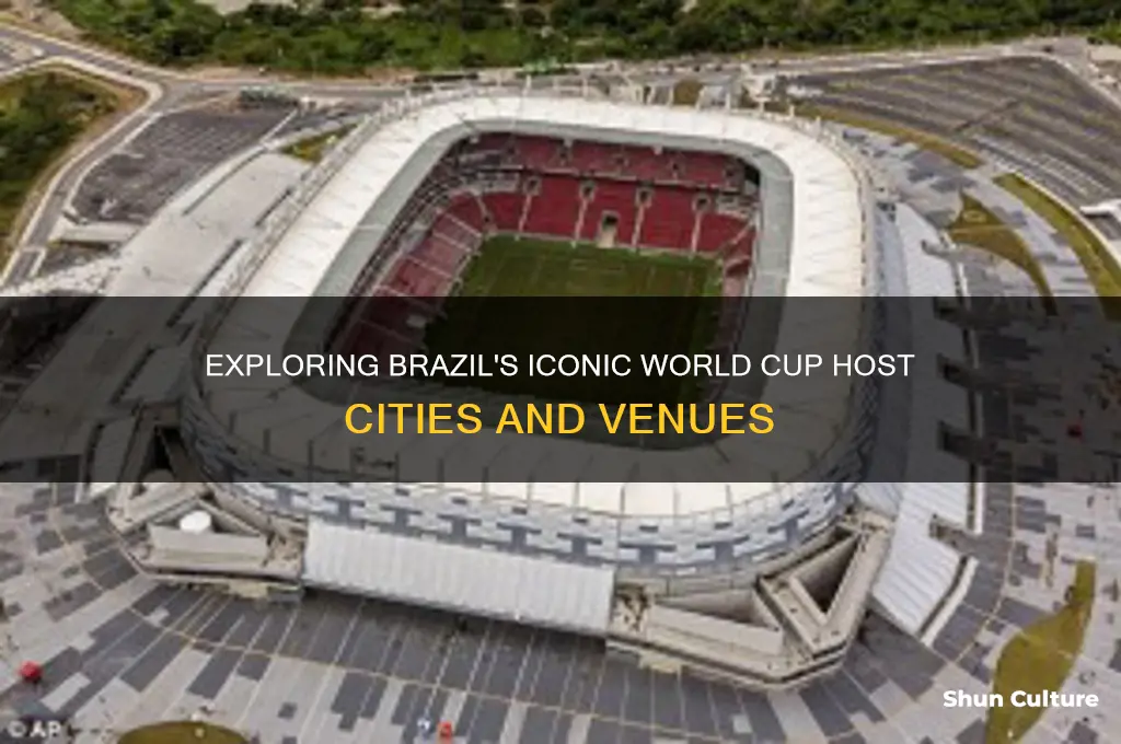 where is the world cup held in brazil