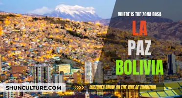 Exploring La Paz, Bolivia: Zona Rosa's Location