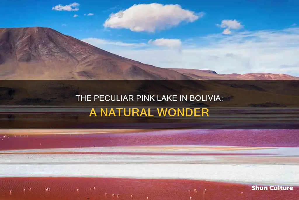 where is this peculiar pink lake bolivia