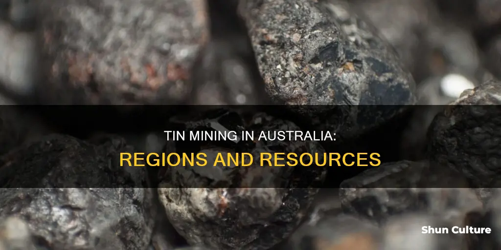 where is tin found in australia