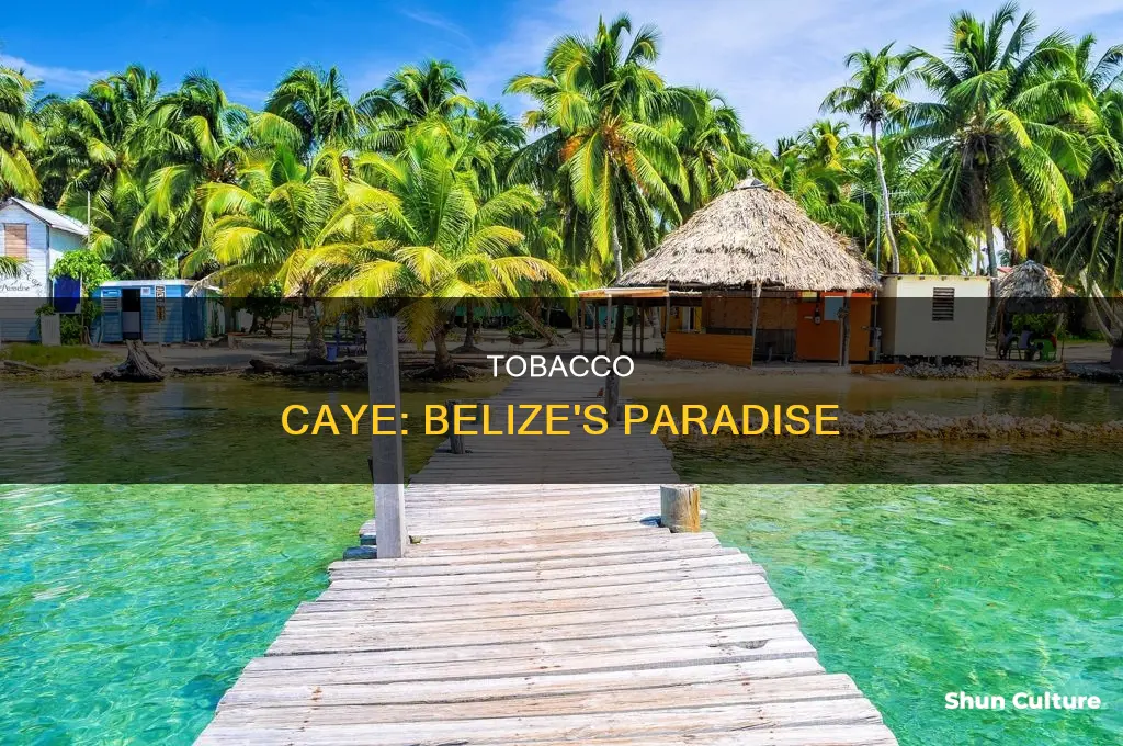 where is tobacco caye belize