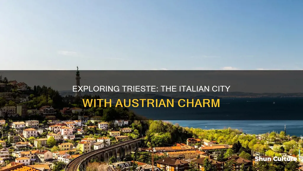 where is trieste austria