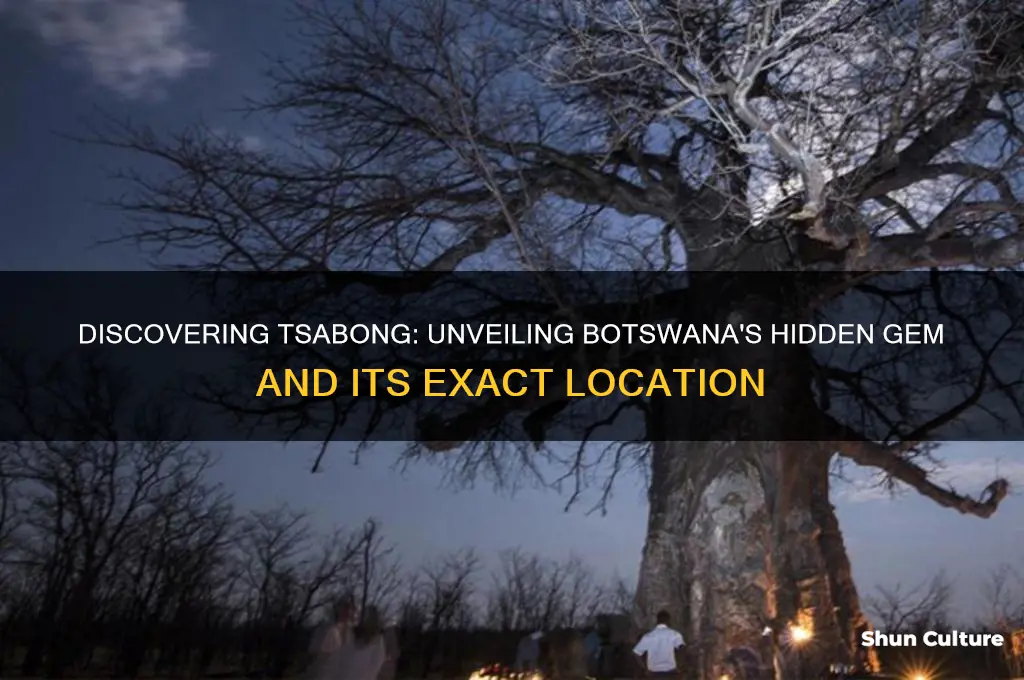 where is tsabong botswana located