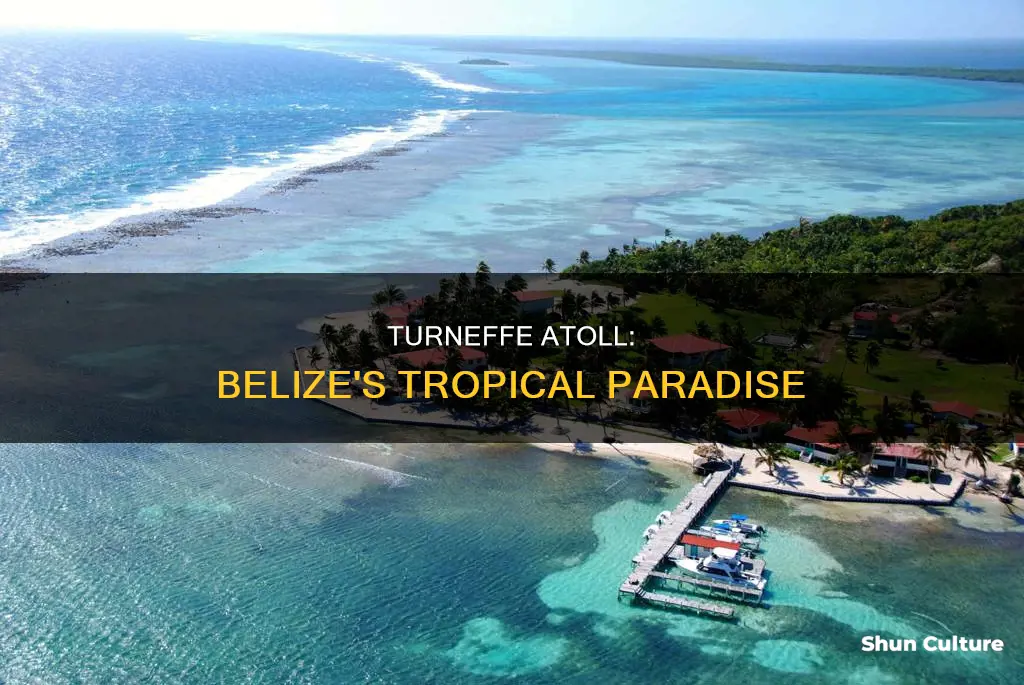 where is turneffe atoll belize