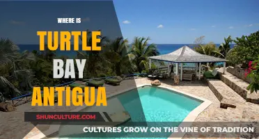 Discovering Turtle Bay Antigua: Location, Beauty, and Hidden Gems