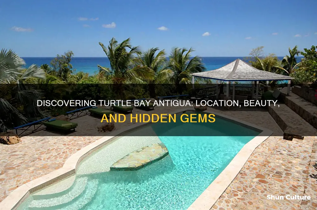 where is turtle bay antigua