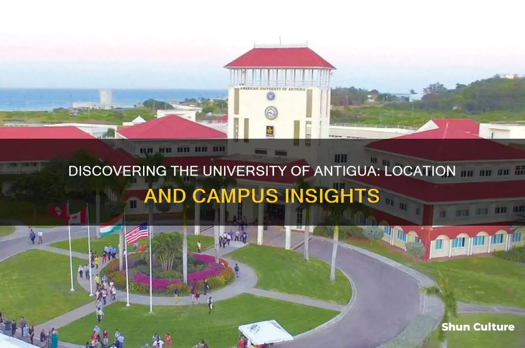 where is university of antigua located