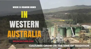 Uranium Mining in Western Australia: Where and Why?