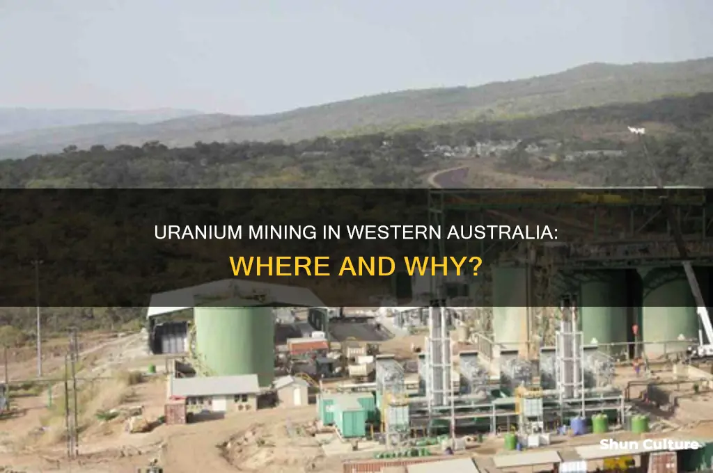 where is uranium mined in western australia