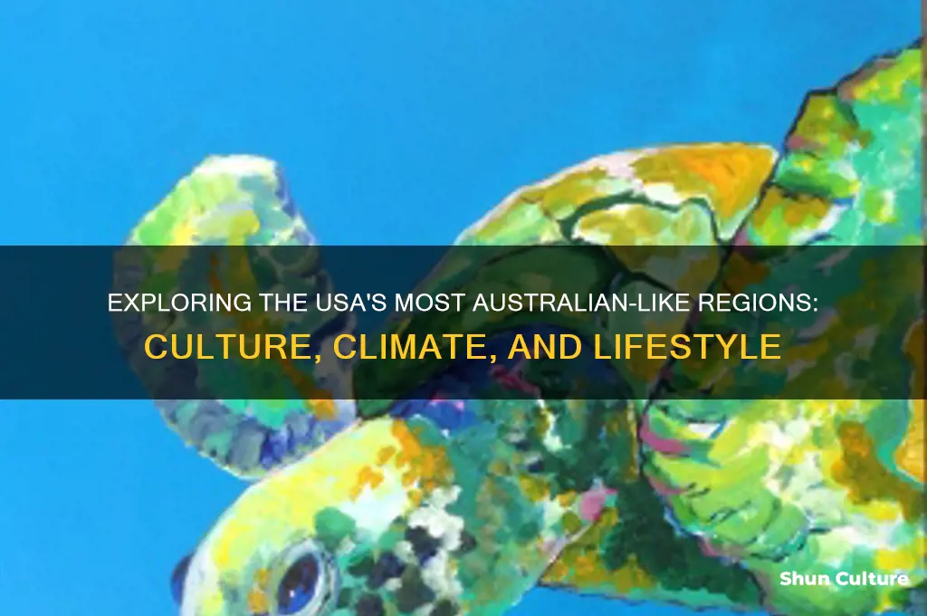 where is usa is most like australia