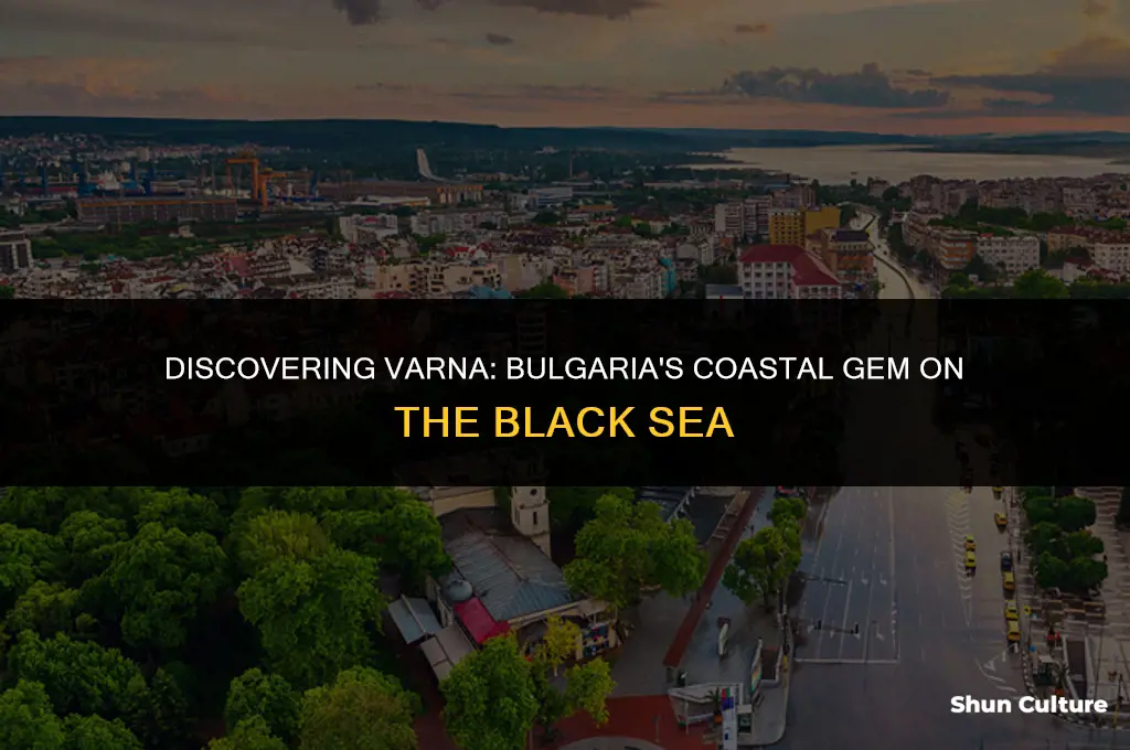 where is varna bulgaria