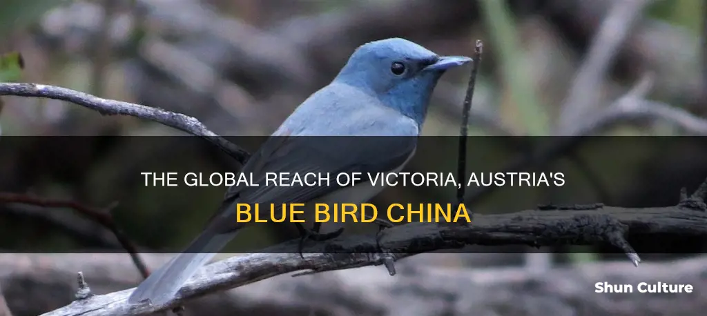 where is victoria austria blue bird china made