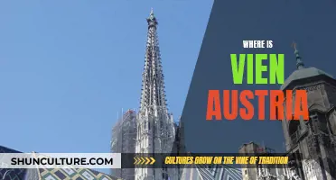 Vien Austria: A Cultural Hub in the Heart of Europe