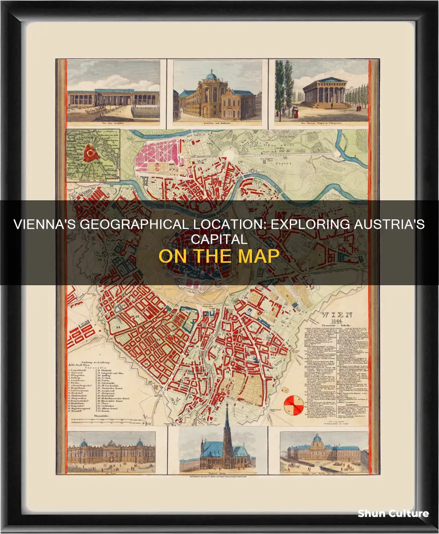 where is vienna austria on the map
