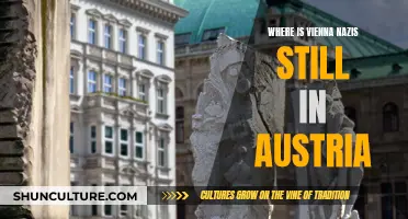 Vienna's Nazi Past: Legacy and Remnants