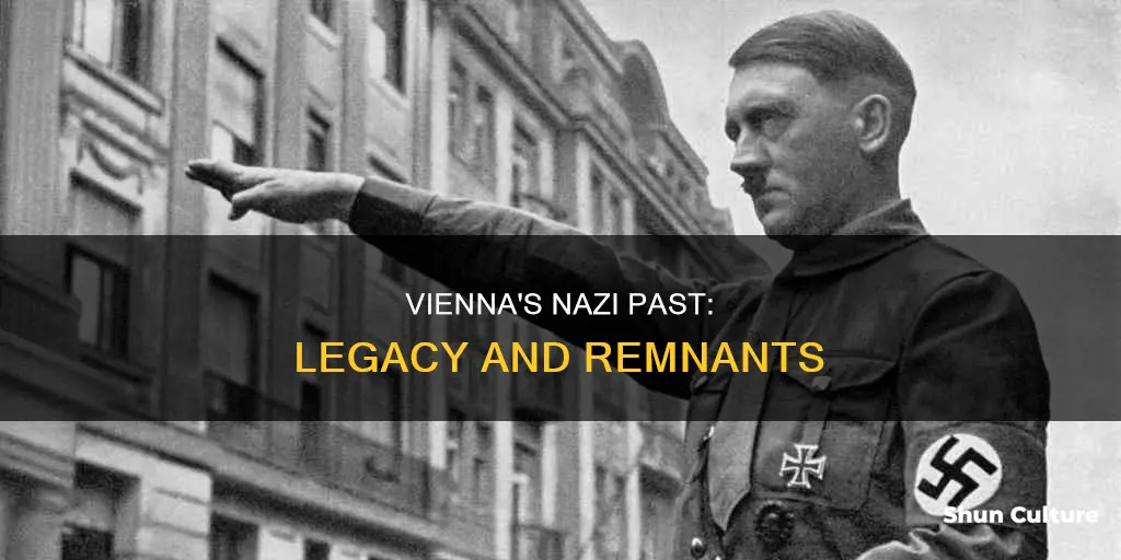 where is vienna nazis still in austria