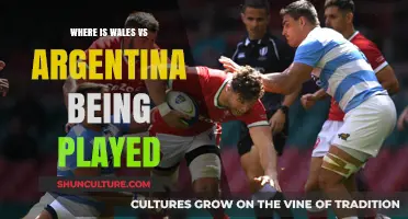 Clash of Titans: Wales vs Argentina Rugby Match Venue Revealed
