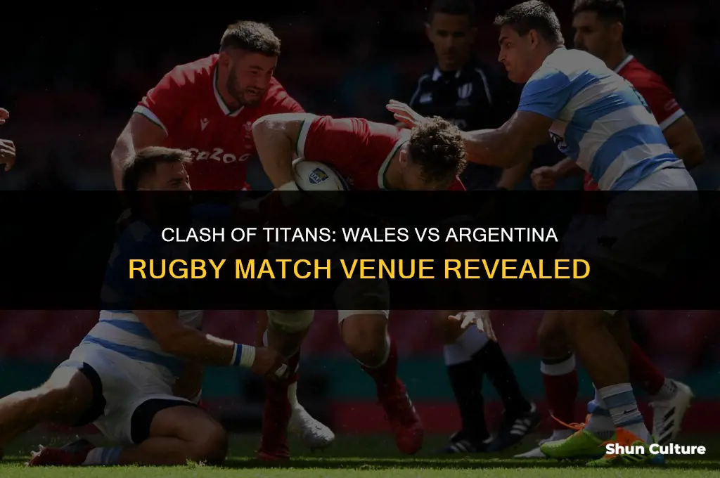 where is wales vs argentina being played