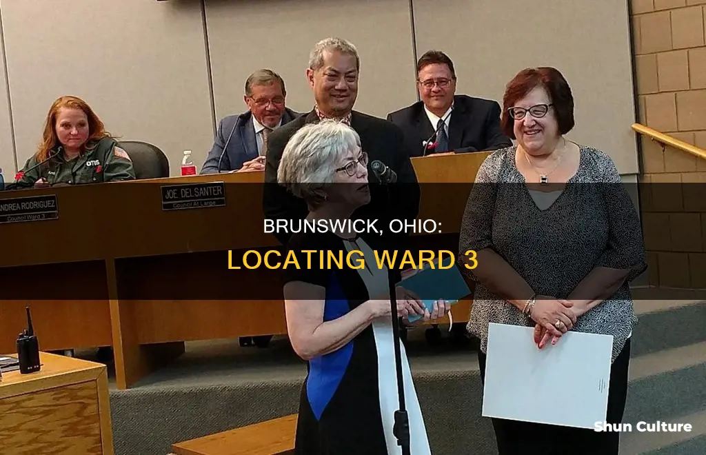 where is ward 3 in brunswick ohio