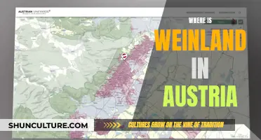Exploring Weinland: Austria's Hidden Gem