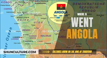 Angola's Disappearance: A Mystery to Unravel