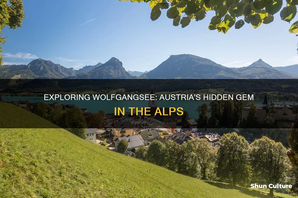 where is wolfgangse austria