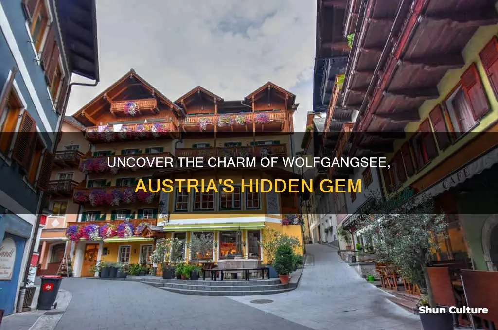 where is wolfgangsee austria