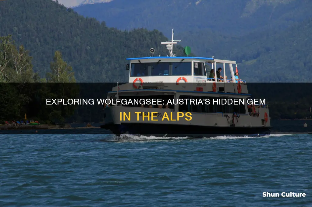 where is wolfgangsee austria
