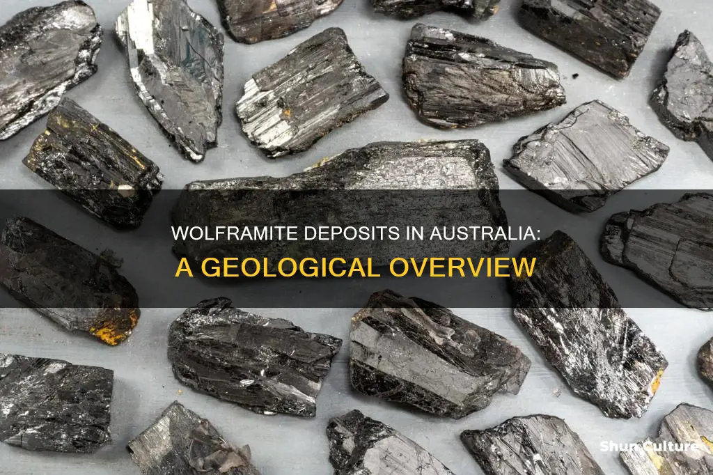 where is wolframite found in australia
