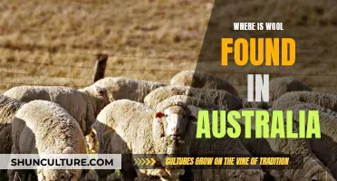 Australia's Wool Country: Where to Find the Best Fleece