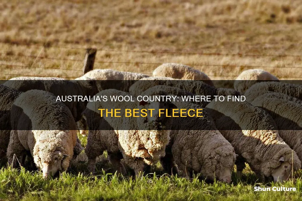 where is wool found in australia