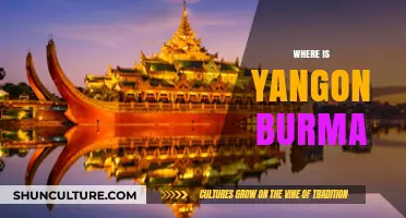 Exploring Yangon: A Journey Through Burma's Vibrant Heart