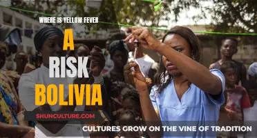 Yellow Fever Risk in Bolivia: Where is it a Concern?