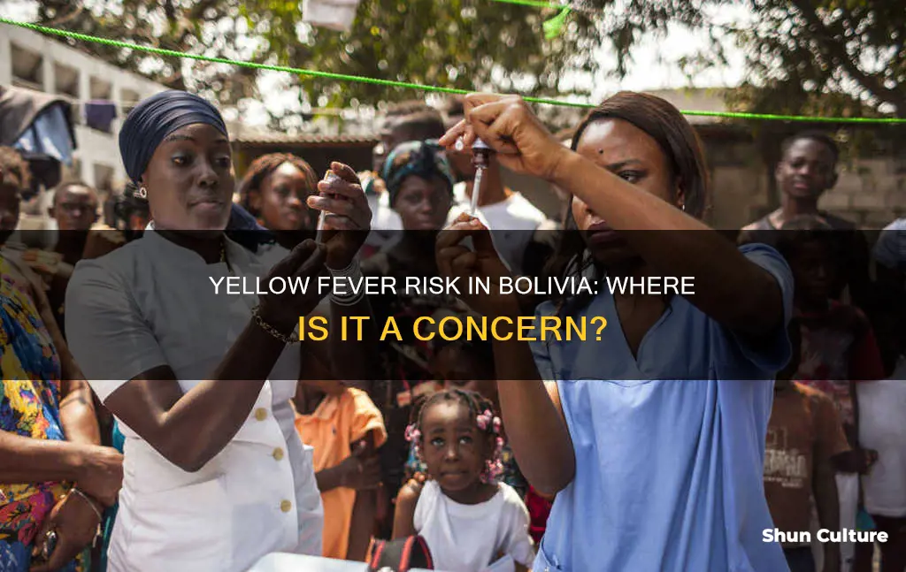 where is yellow fever a risk bolivia