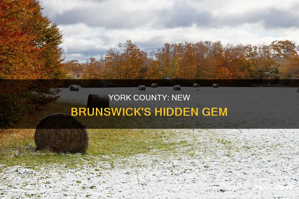 where is york county new brunswick