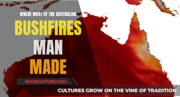 Human Impact: Australia's Bushfires and the Devastating Truth