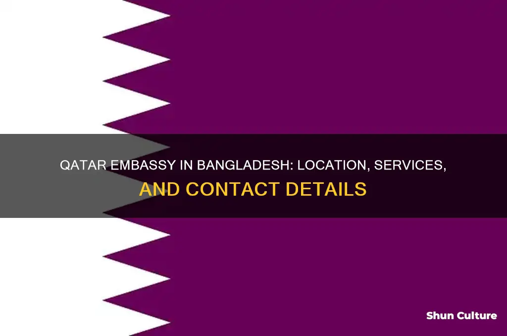 where qatar embassy in bangladesh
