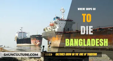 Bangladesh's Shipbreaking Yards: The Final Resting Place for Aging Vessels