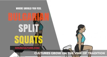 Unlocking the Power of Bulgarian Split Squats: A Guide to Proper Form and Benefits
